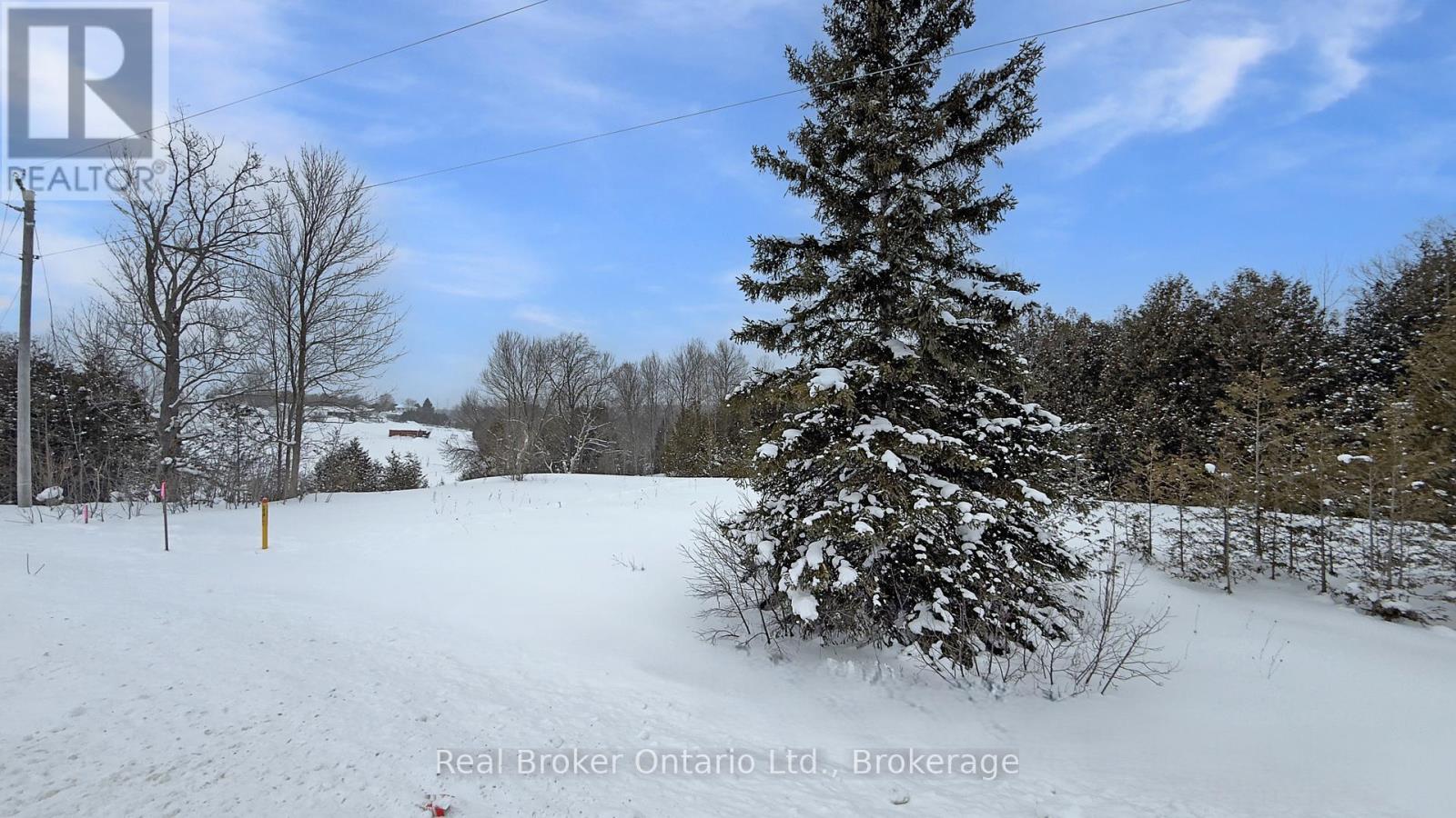 401619 Grey Road 4, West Grey, Ontario  N4N 3B8 - Photo 3 - X12743672