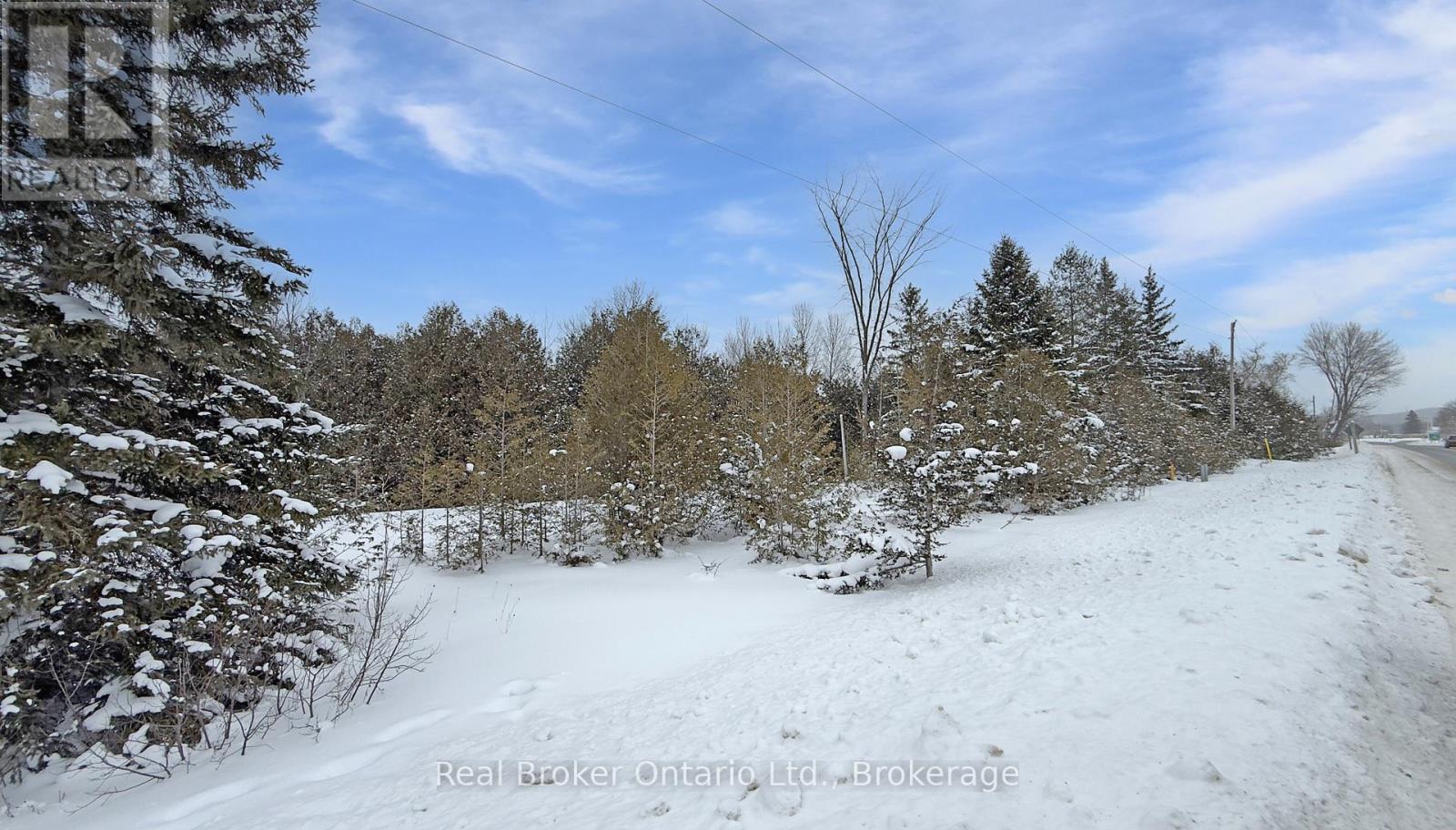 401619 Grey Road 4, West Grey, Ontario  N4N 3B8 - Photo 4 - X12743672