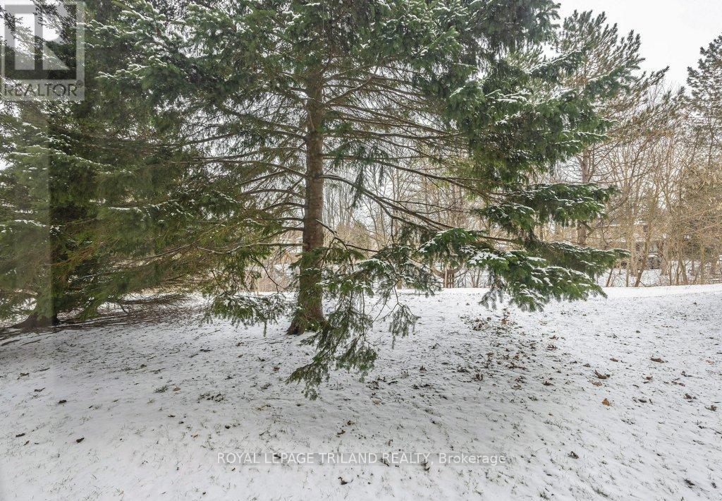 101 - 1600 Adelaide Street N, London North, Ontario  N5X 3H6 - Photo 17 - X12902788