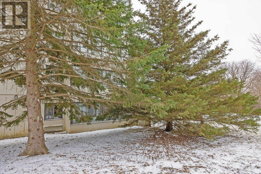 101 - 1600 Adelaide Street N, London North, Ontario  N5X 3H6 - Photo 38 - X12902788