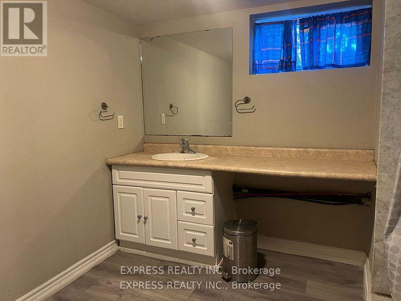 Basement - 80 Taunton Road, Oshawa, Ontario  L1G 3T2 - Photo 5 - E12902826