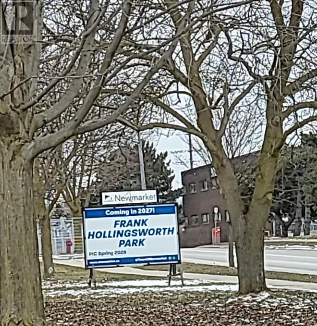 715 Irwin Crescent, Newmarket, Ontario  L3Y 5A4 - Photo 32 - N12902774