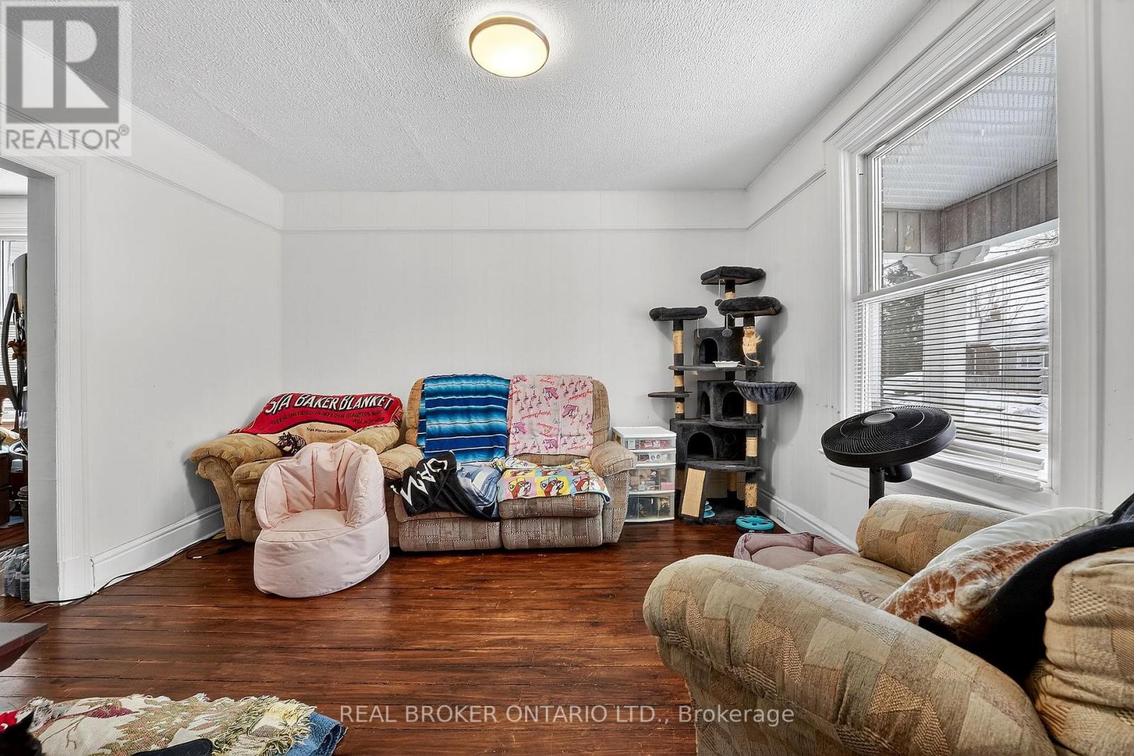 53-55 Wellington Street, Halton Hills, Ontario  L7J 2H1 - Photo 5 - W12902812