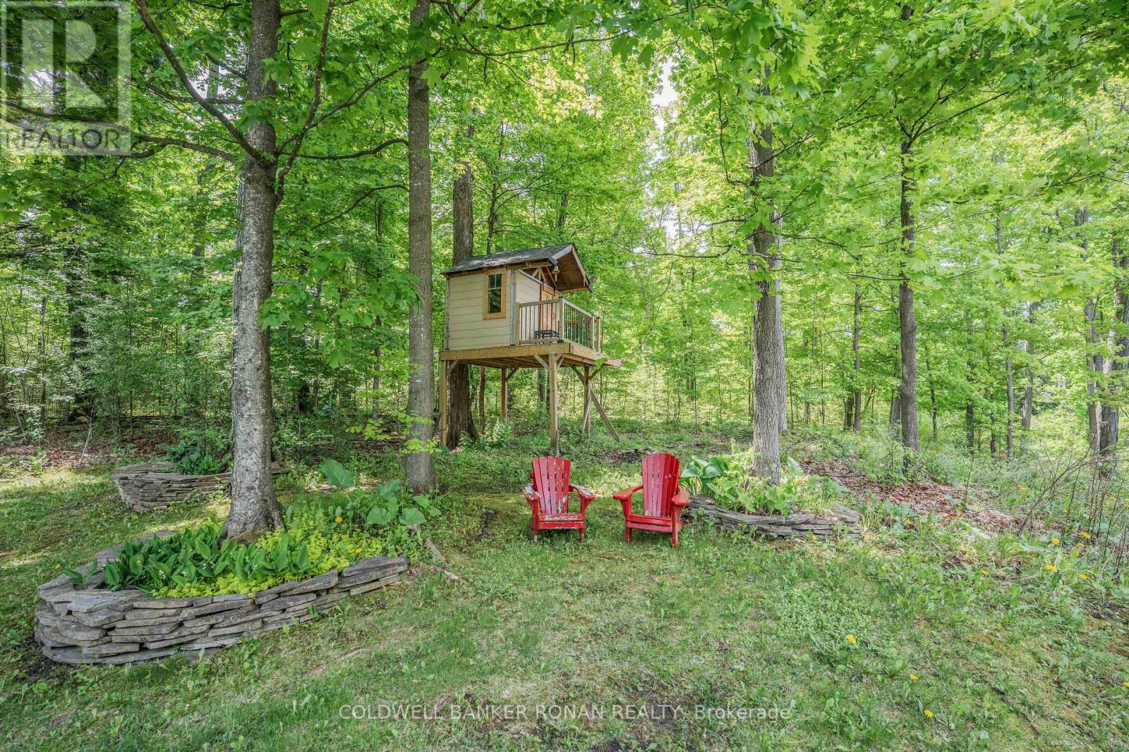 38 Big Tree Circle, Mulmur, Ontario  L0M 1M0 - Photo 49 - X12902728