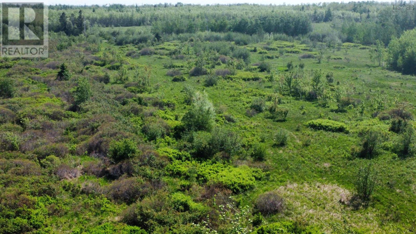 X-Y Fox Harbour South Road, Fox Harbour, Nova Scotia  B0K 1L0 - Photo 16 - 202605019