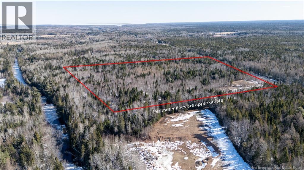 225 South Black River Road, Black River Bridge, New Brunswick  E1N 5S5 - Photo 1 - NB135295