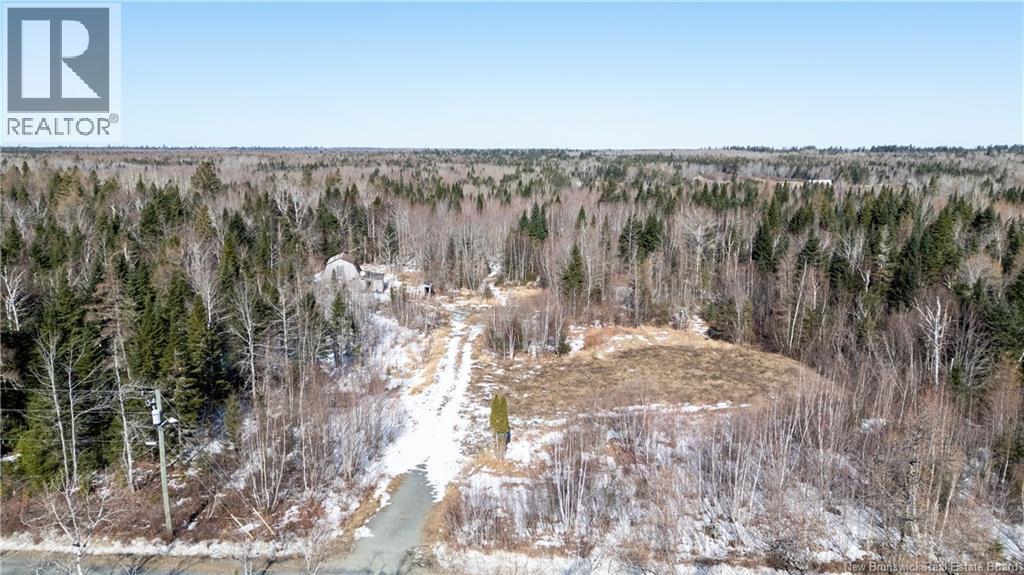 225 South Black River Road, Black River Bridge, New Brunswick  E1N 5S5 - Photo 3 - NB135295