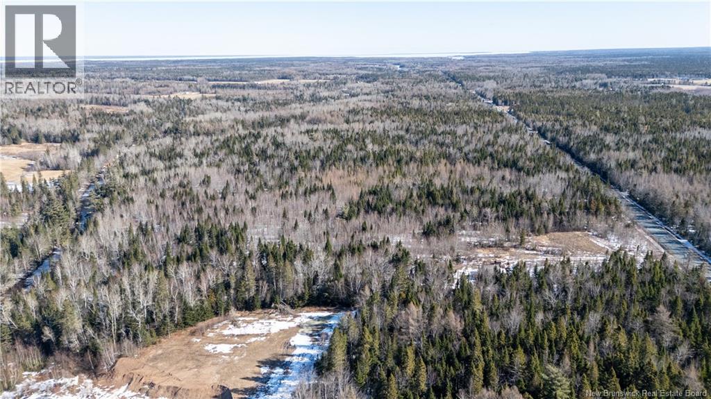 225 South Black River Road, Black River Bridge, New Brunswick  E1N 5S5 - Photo 6 - NB135295