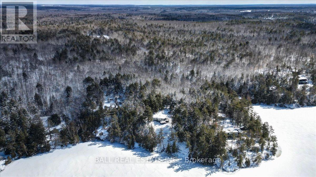 98 Merganser Lane, North Kawartha, Ontario  K0L 1A0 - Photo 24 - X12903008