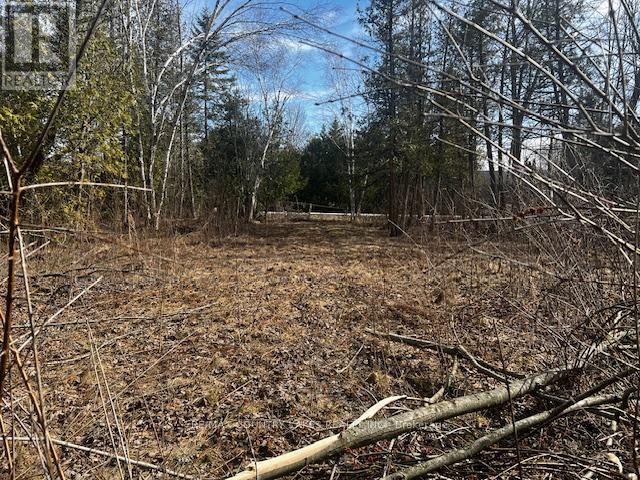 122-123 Riverview Beach Road, Georgina, Ontario  L0E 1N0 - Photo 8 - N12903000