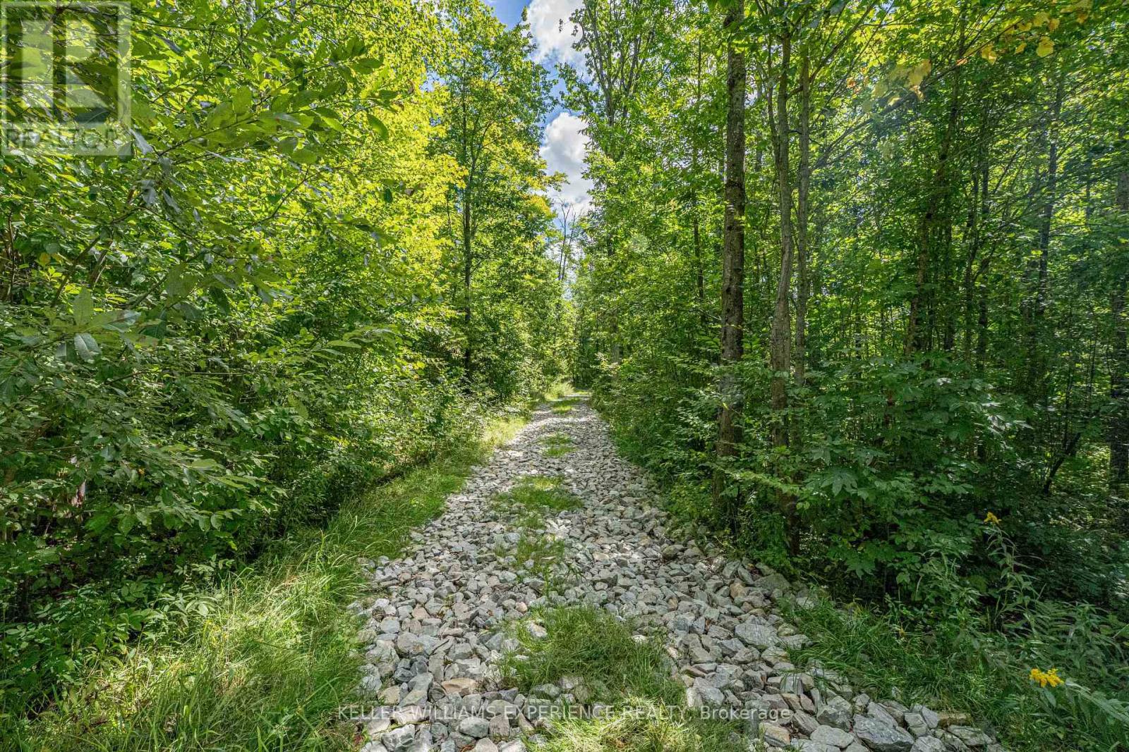 1213 Taylor Line, Severn, Ontario  L0K 1E0 - Photo 48 - S12902964
