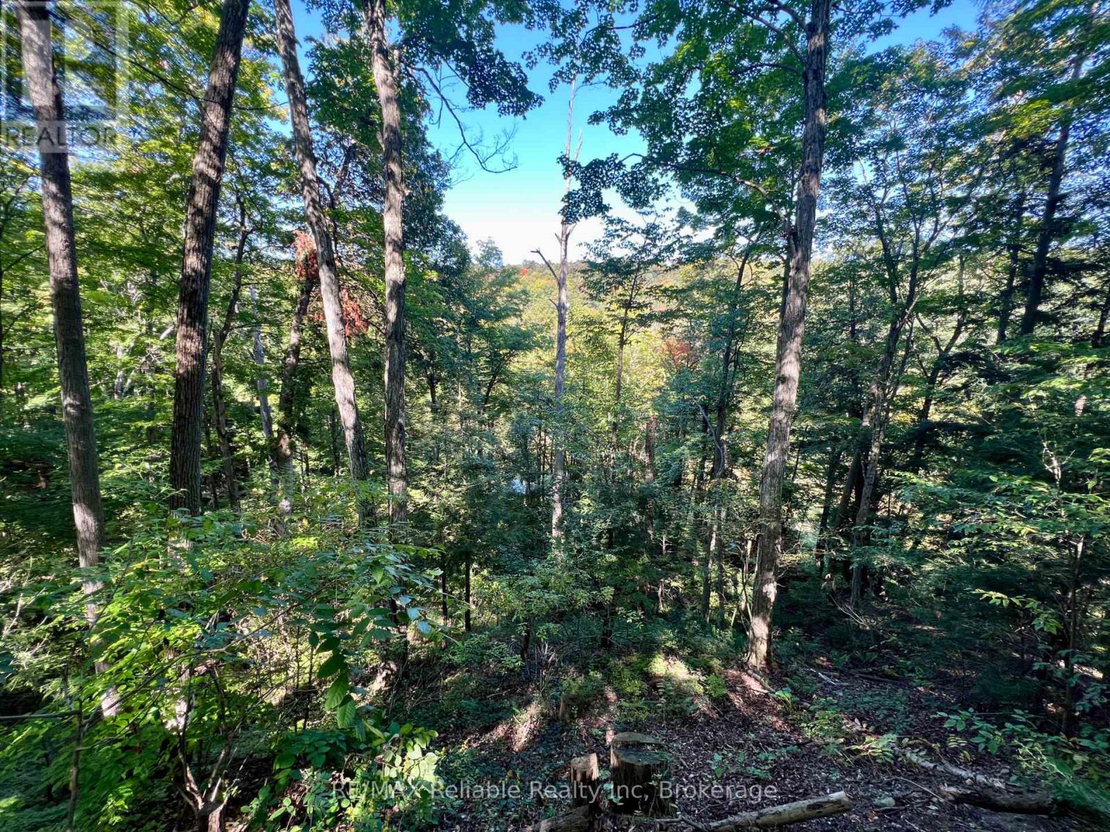 19 - 76735 Wildwood Line, Bluewater (Stanley), Ontario  N0M 1G0 - Photo 41 - X12903184