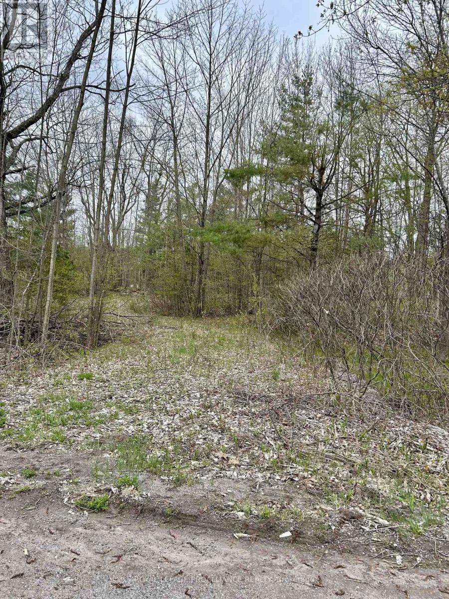 31 Glen Ridge Road, Marmora And Lake, Ontario  K0K 2M0 - Photo 3 - X12903120