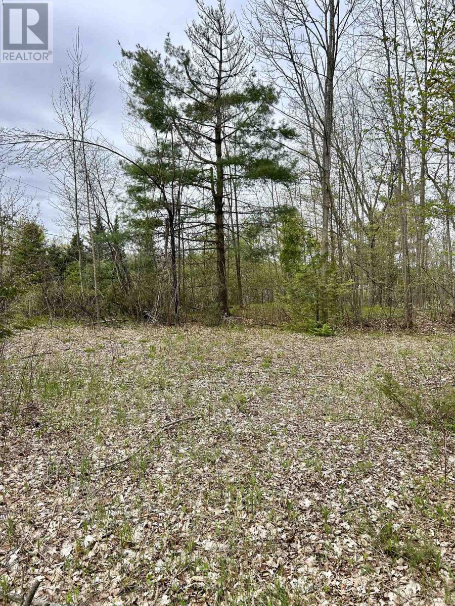 31 Glen Ridge Road, Marmora And Lake, Ontario  K0K 2M0 - Photo 4 - X12903120