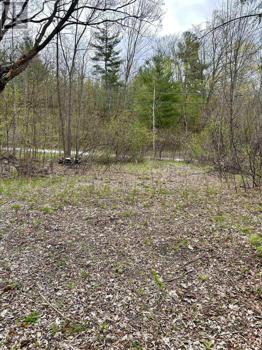 31 Glen Ridge Road, Marmora And Lake, Ontario  K0K 2M0 - Photo 5 - X12903120