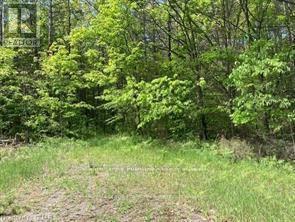 338 Glen Allen Road S, Marmora And Lake, Ontario  K0K 2M0 - Photo 12 - X12903170