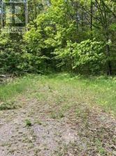 338 Glen Allen Road S, Marmora And Lake, Ontario  K0K 2M0 - Photo 14 - X12903170