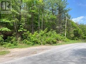 338 Glen Allen Road S, Marmora And Lake, Ontario  K0K 2M0 - Photo 15 - X12903170