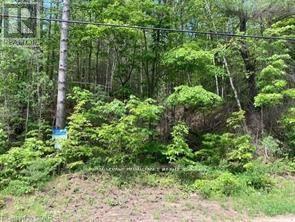 338 Glen Allen Road S, Marmora And Lake, Ontario  K0K 2M0 - Photo 17 - X12903170