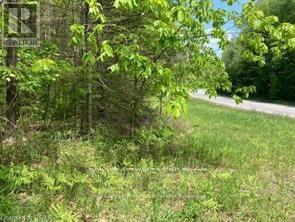 338 Glen Allen Road S, Marmora And Lake, Ontario  K0K 2M0 - Photo 21 - X12903170