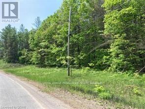 338 Glen Allen Road S, Marmora And Lake, Ontario  K0K 2M0 - Photo 23 - X12903170