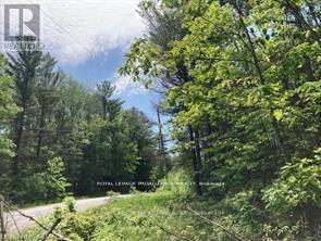 338 Glen Allen Road S, Marmora And Lake, Ontario  K0K 2M0 - Photo 6 - X12903170