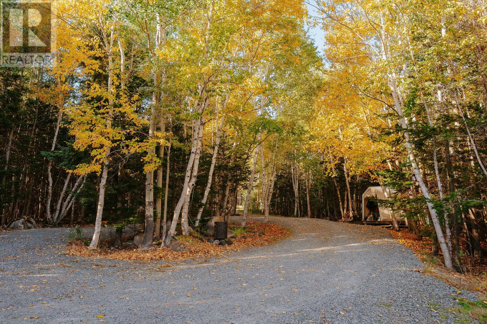 14 Tuxedo Road, Square Pond, Newfoundland & Labrador A0G 1C0 - Photo 49 - 1295391