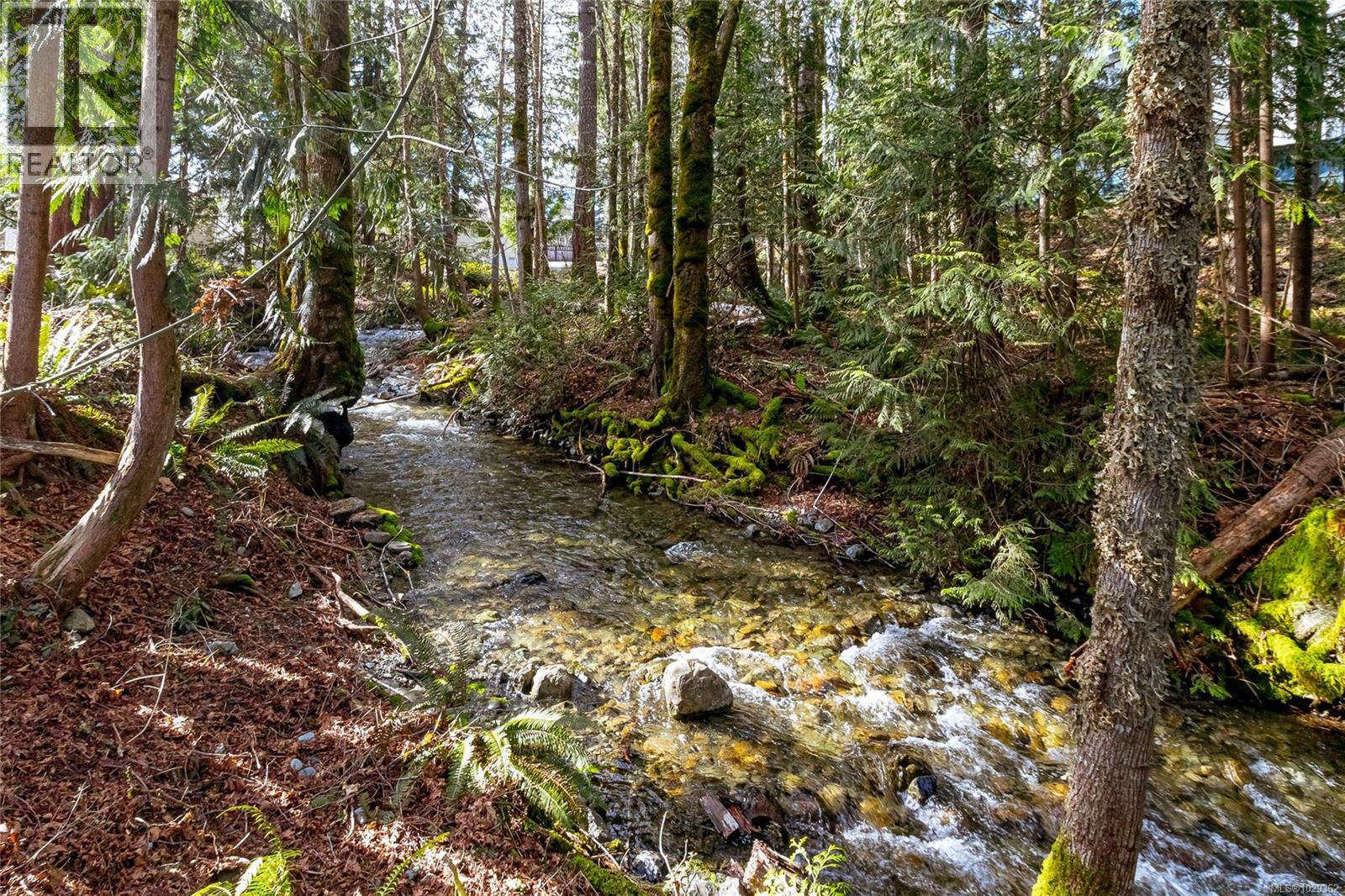 195 Johnson Pl, Lake Cowichan, British Columbia  V0R 2G0 - Photo 29 - 1029362