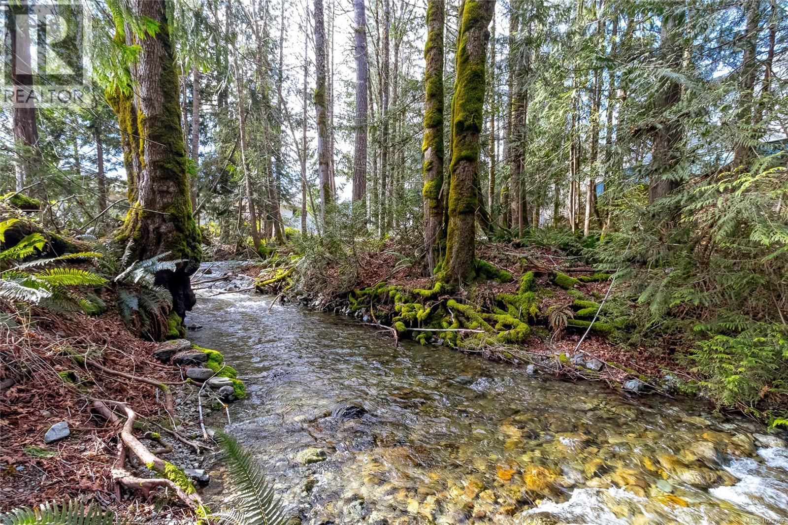 195 Johnson Pl, Lake Cowichan, British Columbia  V0R 2G0 - Photo 30 - 1029362