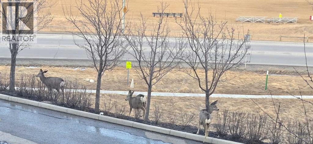 203, 77 George Fox Trail, Cochrane, Alberta  T4C 0N1 - Photo 37 - A2295000