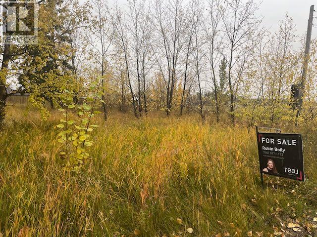 5023 50 Avenue, Woking, Alberta  T0H 3G0 - Photo 3 - A2261483