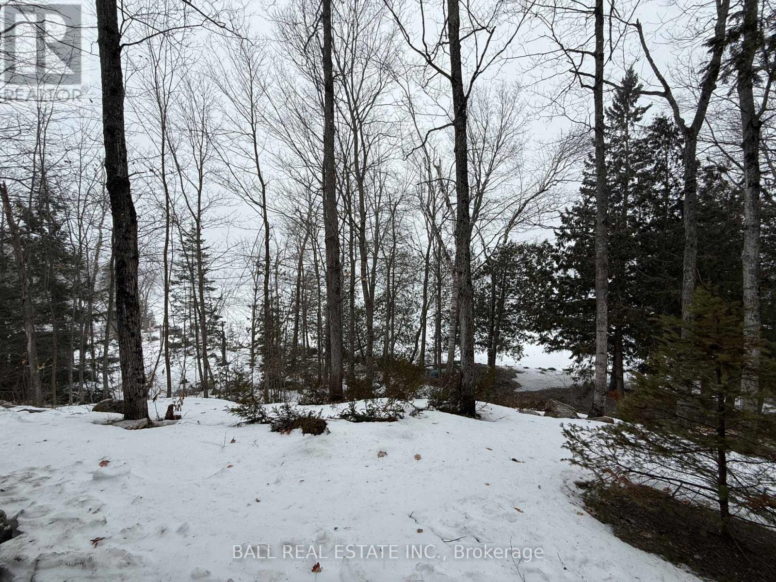 3186 Buckhorn Lane, Selwyn, Ontario  K0L 2H0 - Photo 36 - X12903334