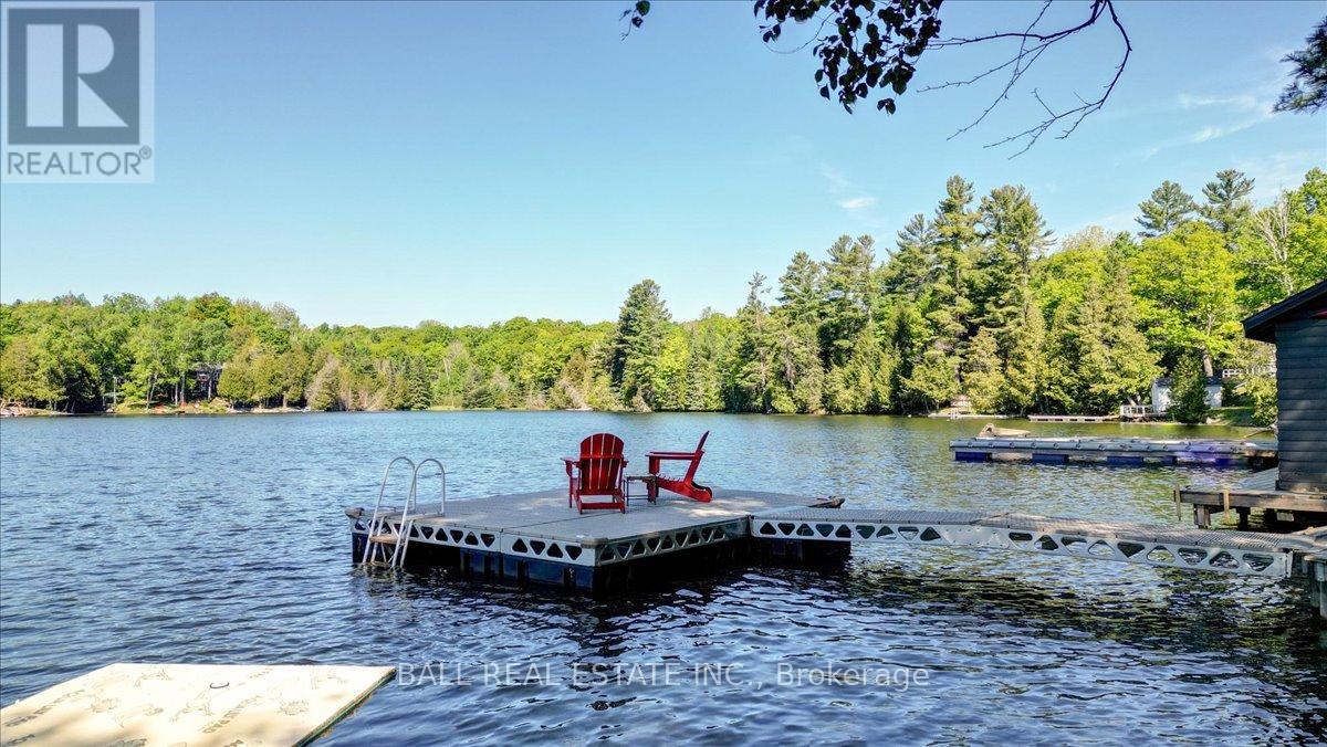 139 Spence Road, North Kawartha, Ontario  K0L 1A0 - Photo 49 - X12903464