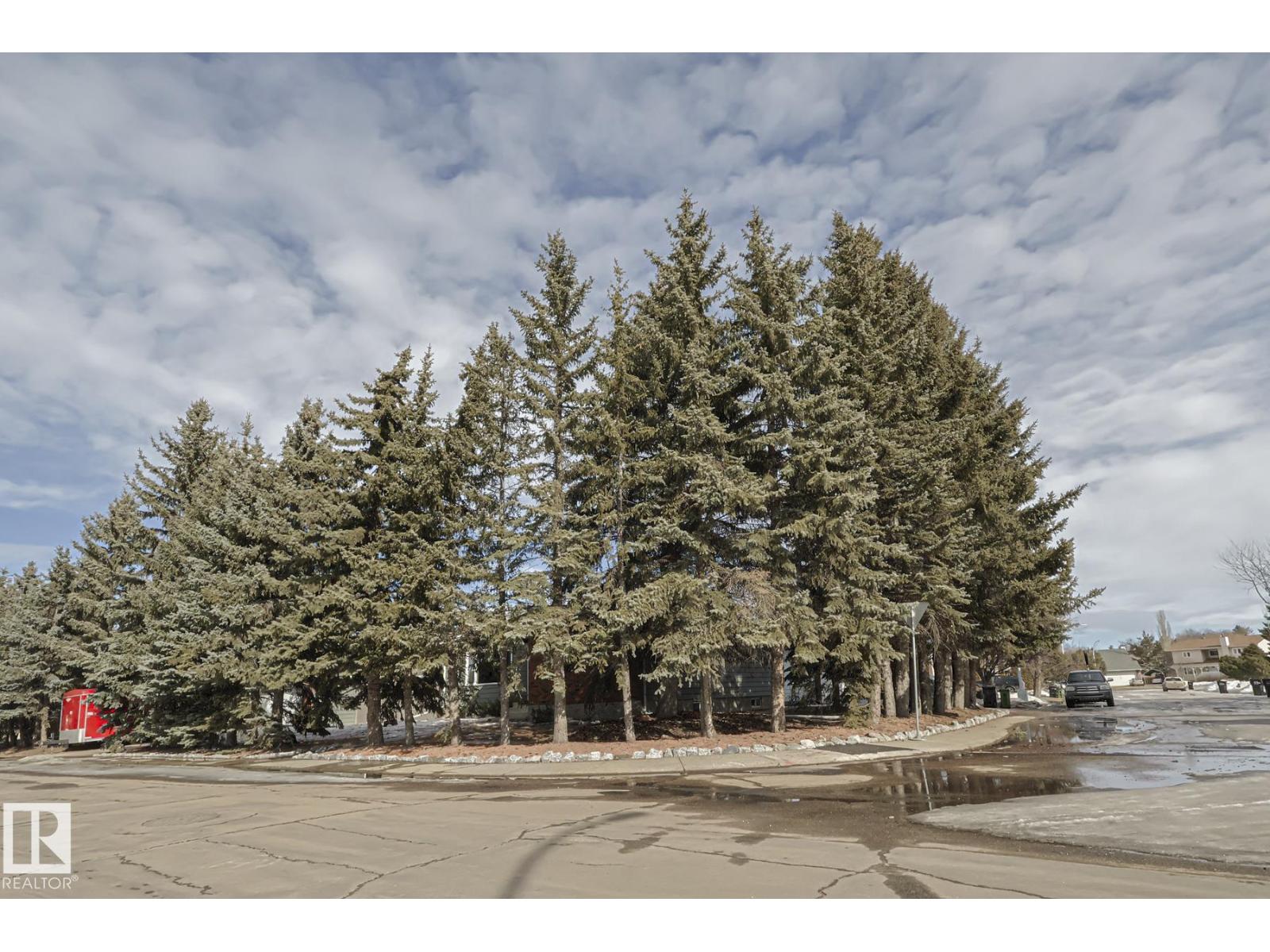 2449 89 St Nw, Edmonton, Alberta  T6K 2Y8 - Photo 66 - E4478368