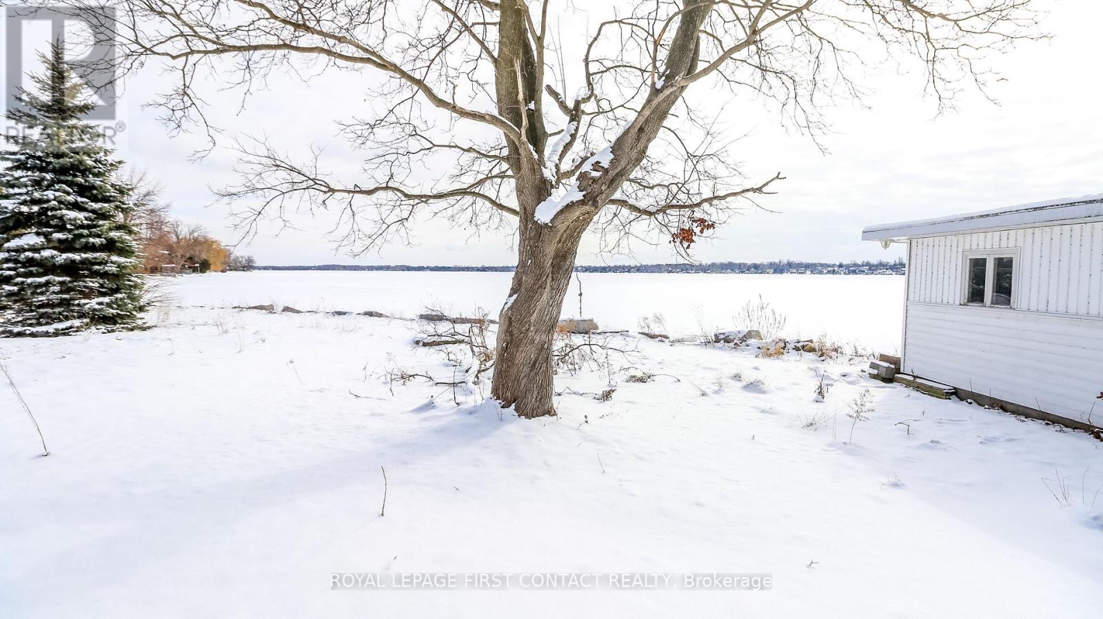 21 Glassford Road, Kawartha Lakes, Ontario  K0M 2C0 - Photo 11 - X12903444