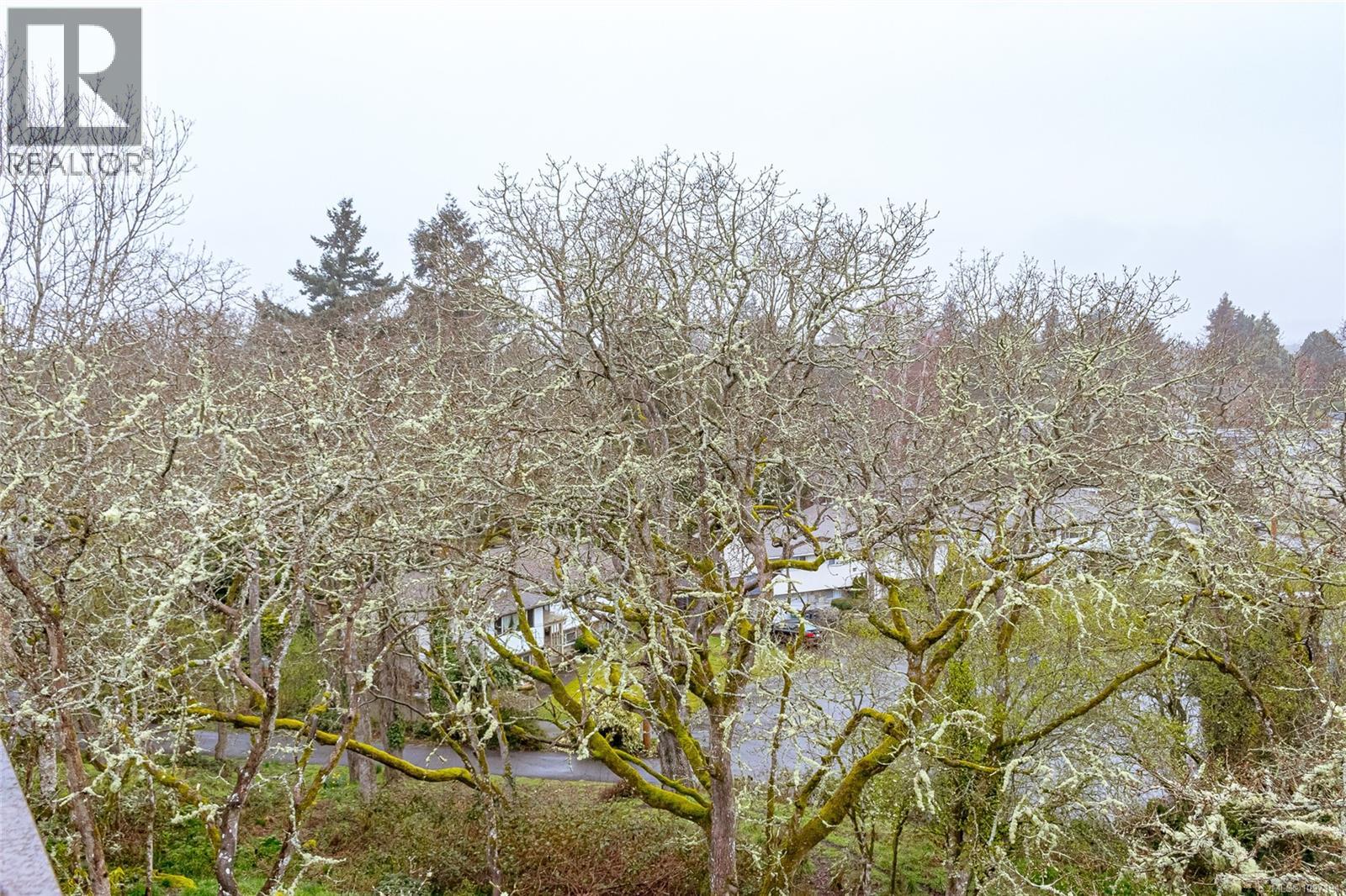 317 3962 Cedar Hill Rd, Saanich, British Columbia  V8N 3B8 - Photo 41 - 1027191