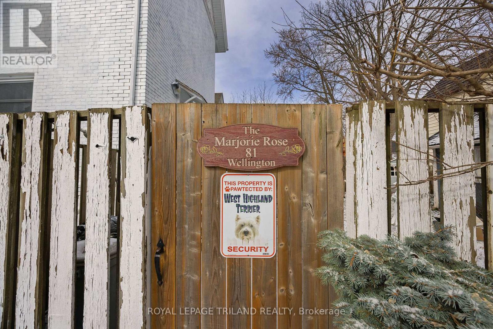 81 Wellington Street, St. Thomas, Ontario  N5R 2P9 - Photo 45 - X12903612