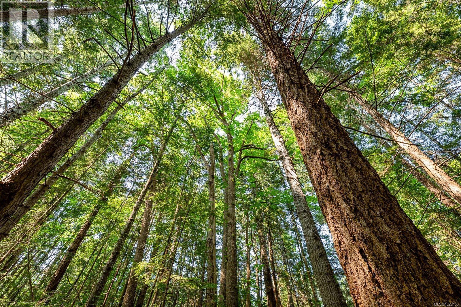 Lot 4 Butler Rd, Comox, British Columbia  V9M 4B4 - Photo 26 - 1029460