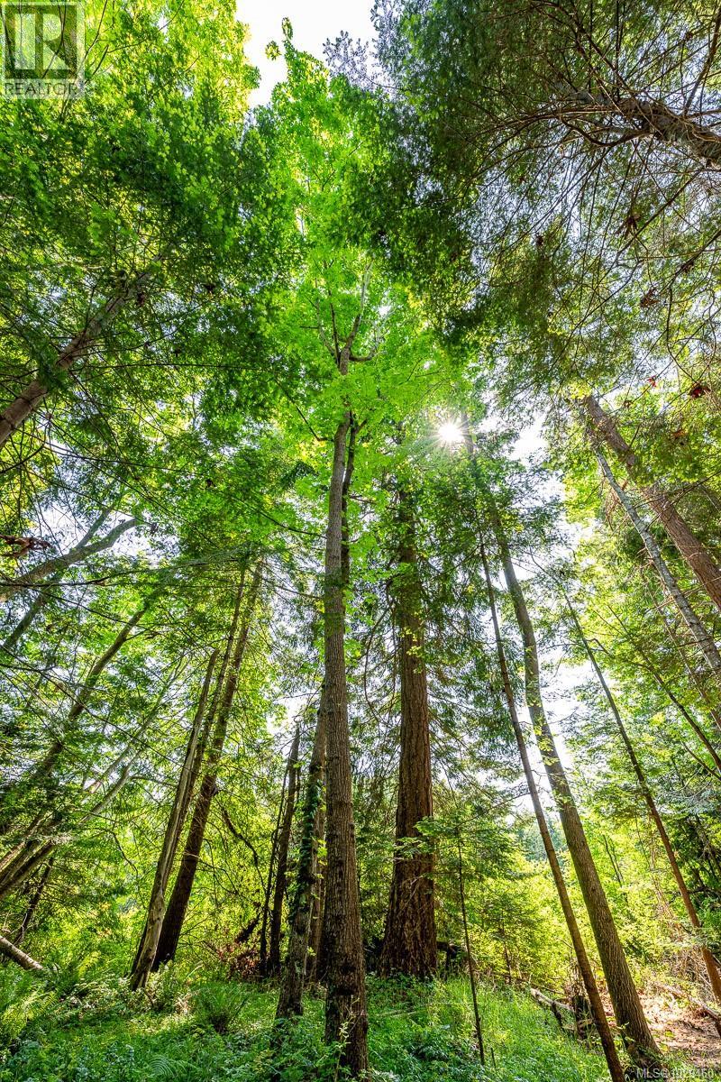 Lot 4 Butler Rd, Comox, British Columbia  V9M 4B4 - Photo 25 - 1029460