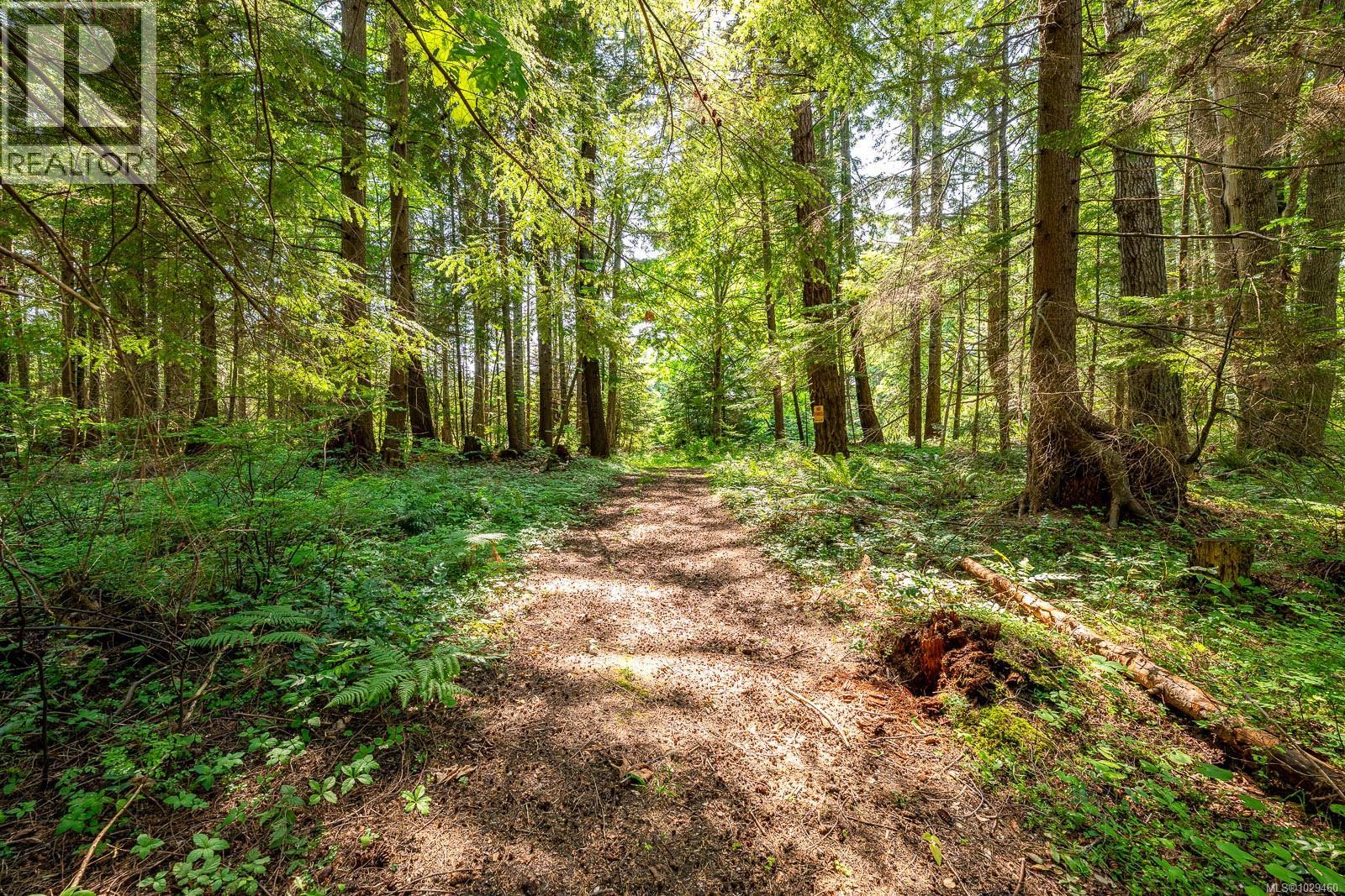 Lot 4 Butler Rd, Comox, British Columbia  V9M 4B4 - Photo 27 - 1029460