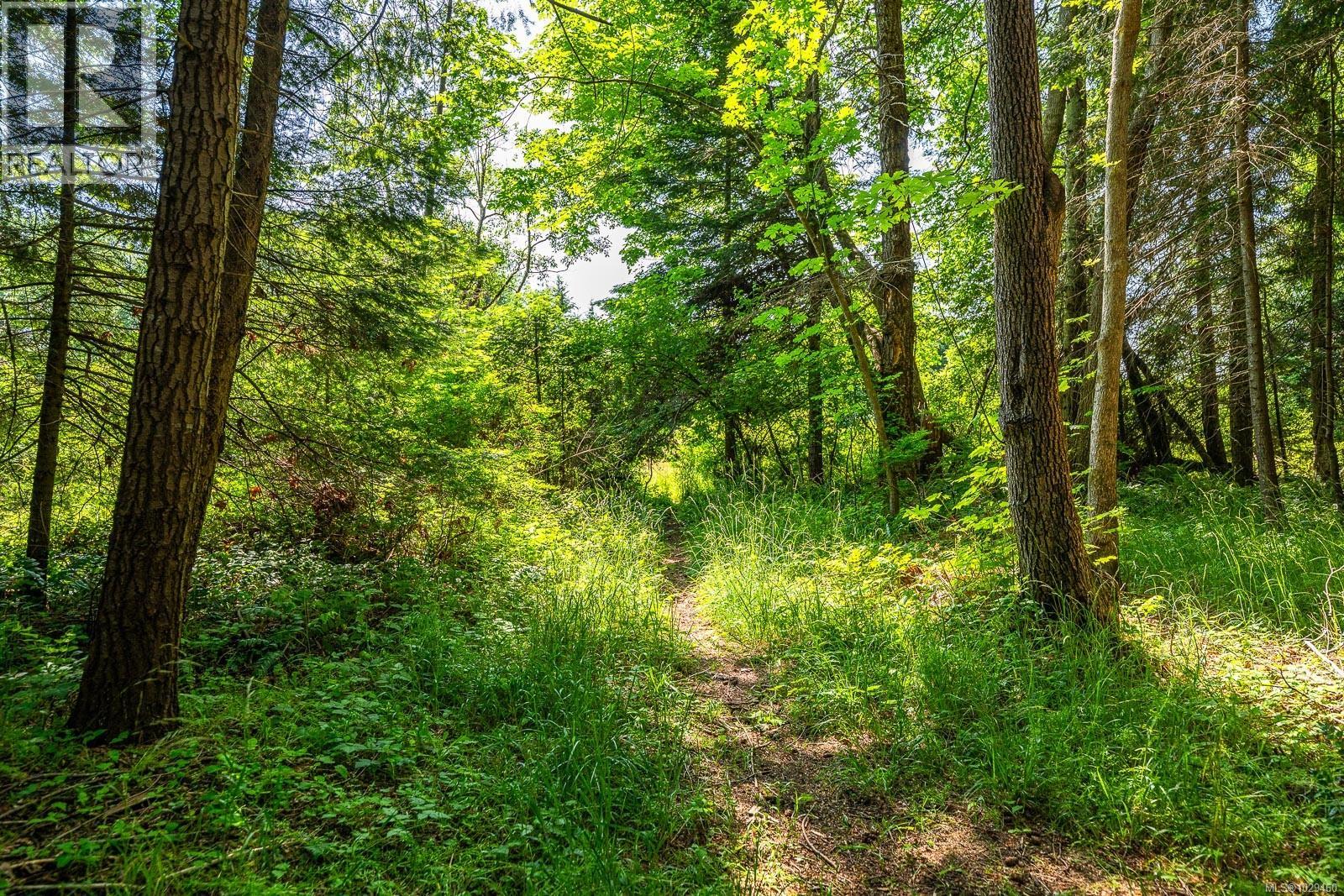 Lot 4 Butler Rd, Comox, British Columbia  V9M 4B4 - Photo 21 - 1029460