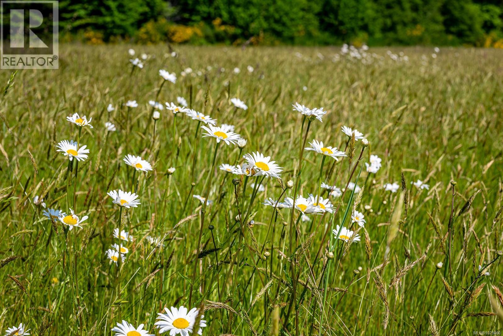 Lot 4 Butler Rd, Comox, British Columbia  V9M 4B4 - Photo 23 - 1029460