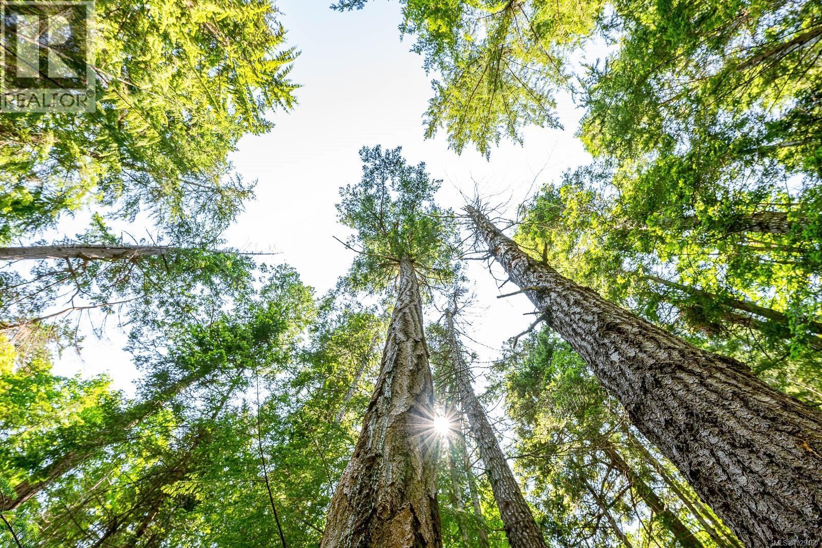 Lot 4 Butler Rd, Comox, British Columbia  V9M 4B4 - Photo 3 - 1029460