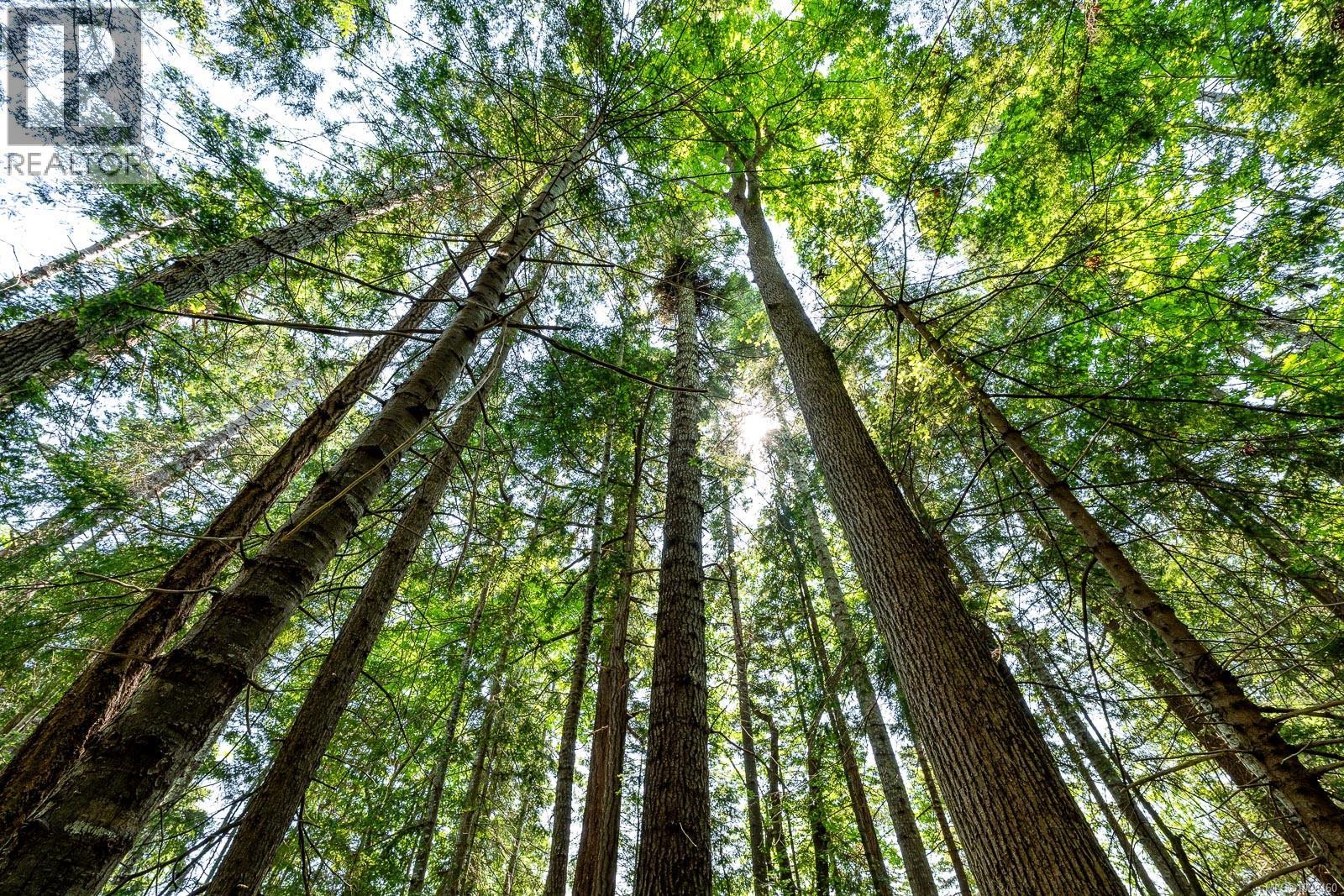 Lot 4 Butler Rd, Comox, British Columbia  V9M 4B4 - Photo 7 - 1029460