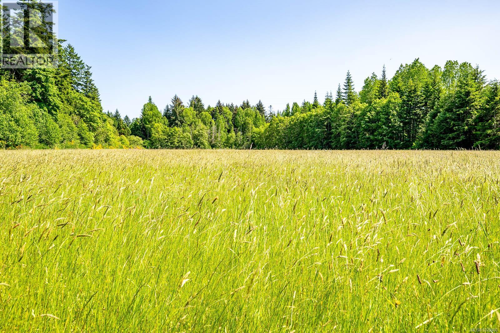 Lot 4 Butler Rd, Comox, British Columbia  V9M 4B4 - Photo 12 - 1029460