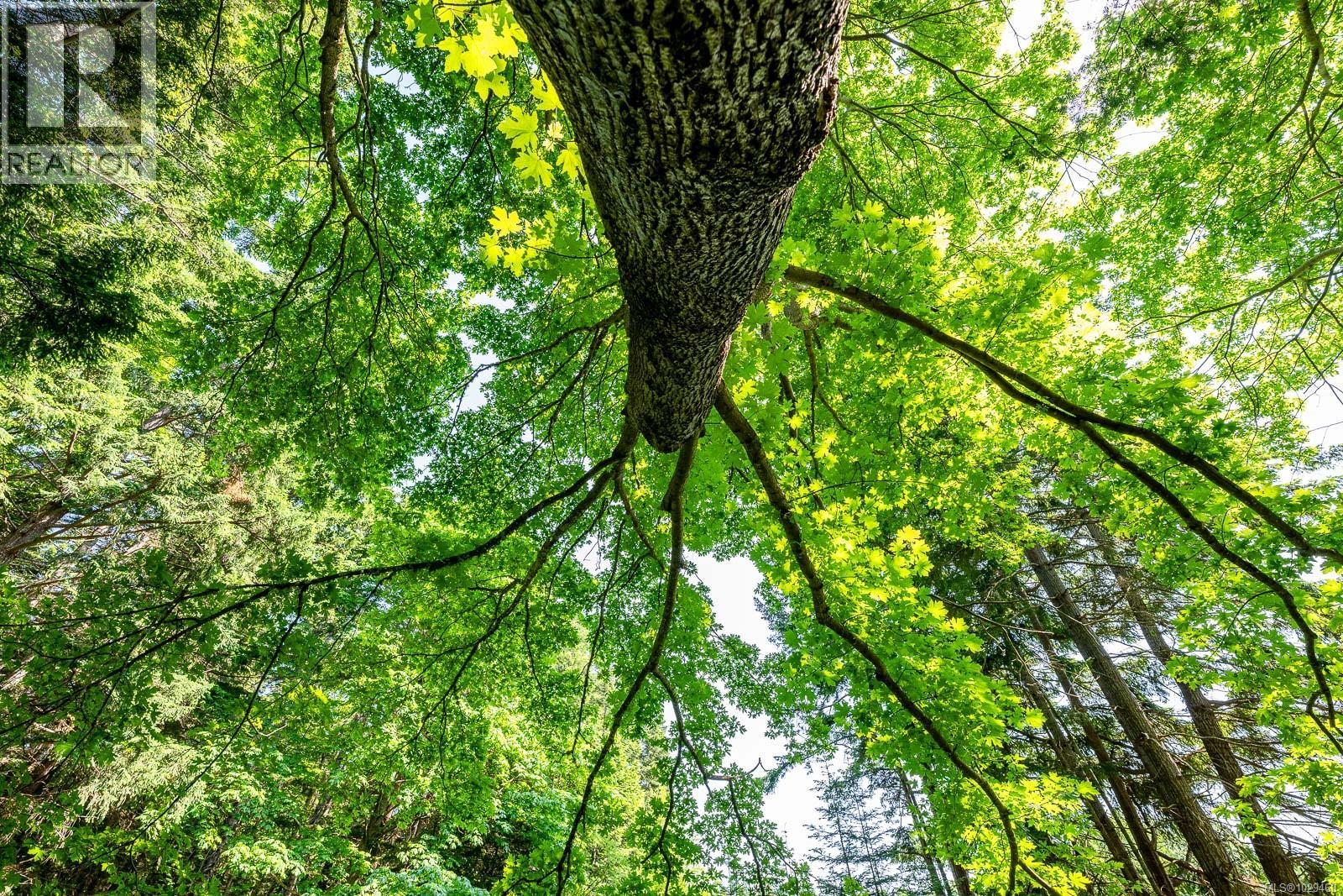 Lot 4 Butler Rd, Comox, British Columbia  V9M 4B4 - Photo 16 - 1029460