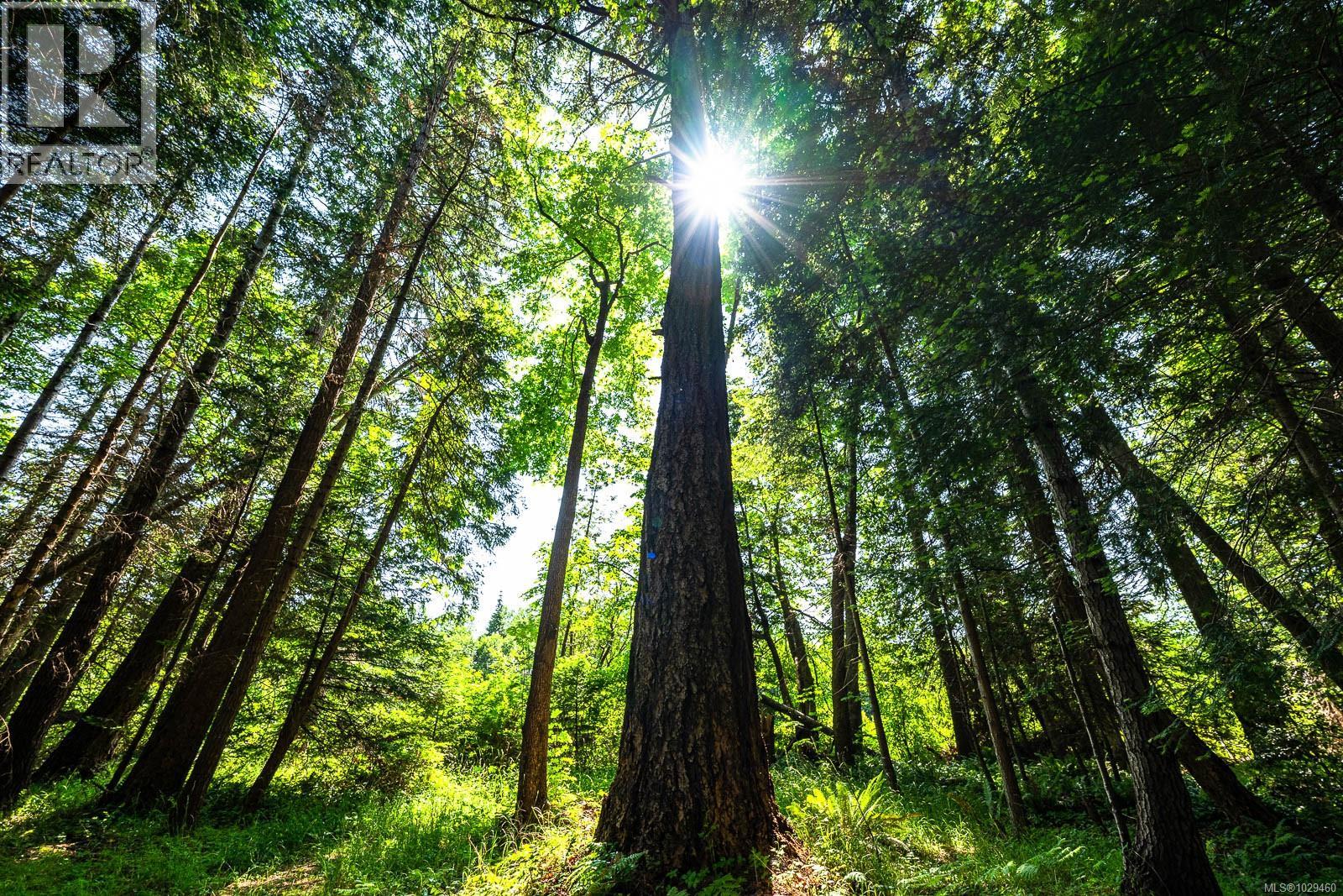 Lot 4 Butler Rd, Comox, British Columbia  V9M 4B4 - Photo 20 - 1029460