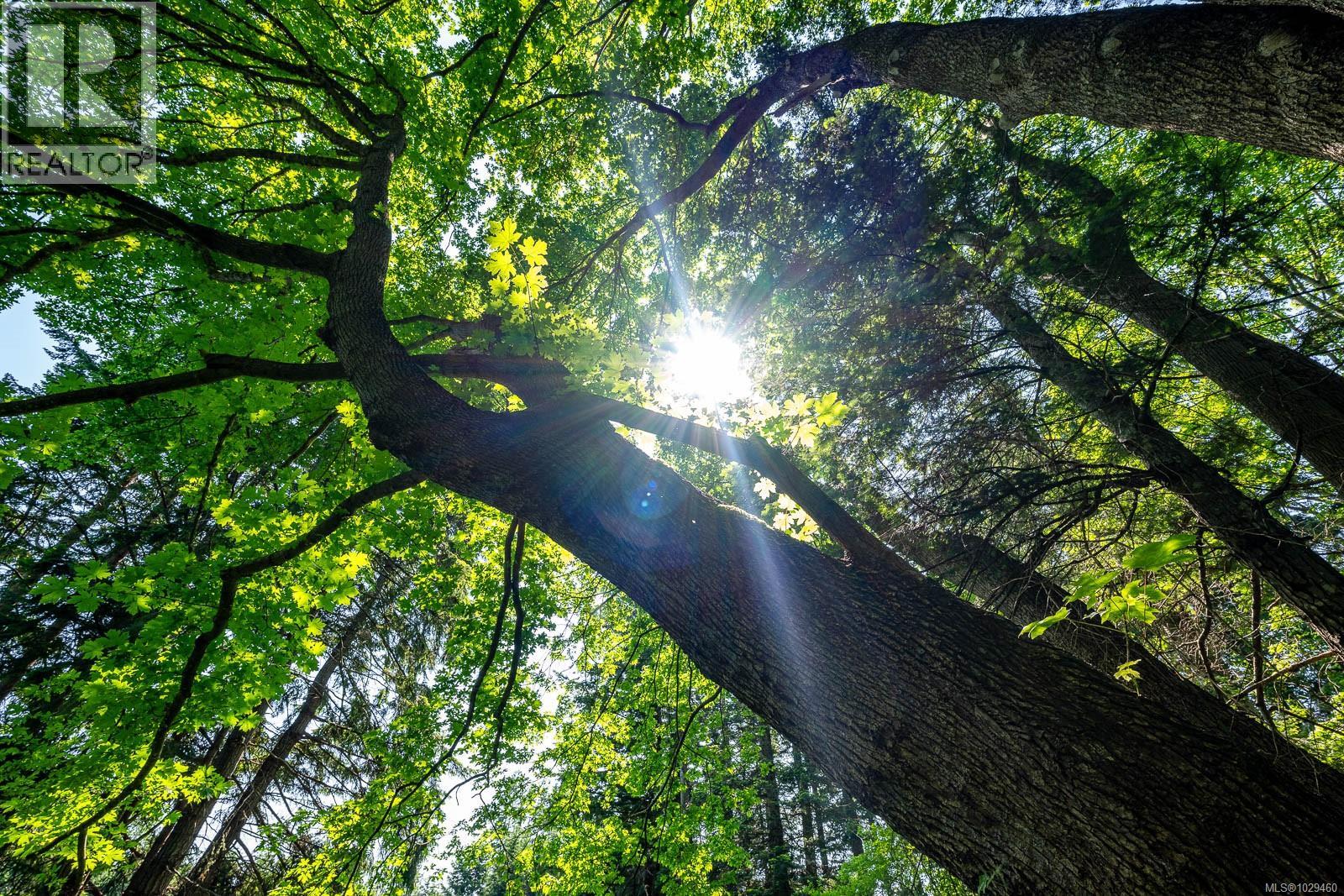 Lot 4 Butler Rd, Comox, British Columbia  V9M 4B4 - Photo 6 - 1029460