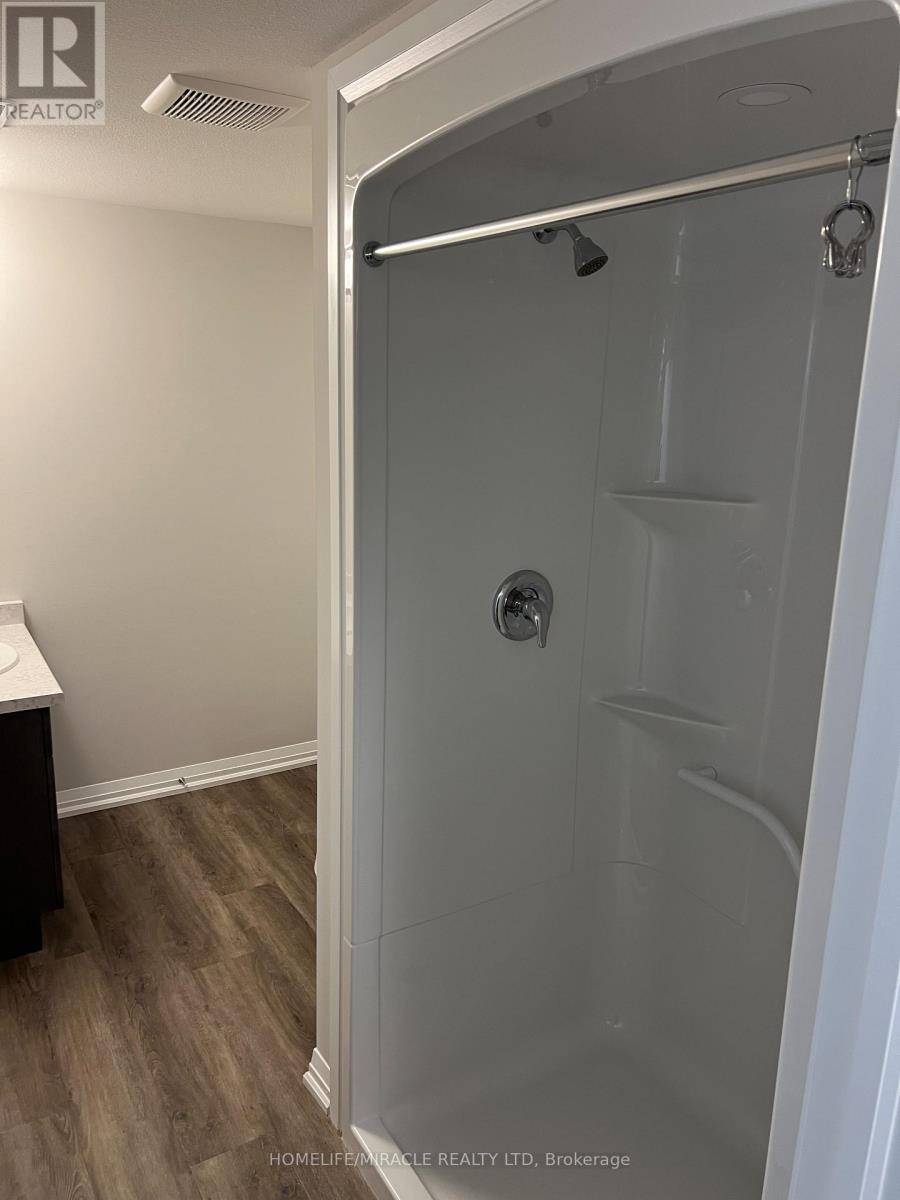 Bsmt - 11 Willson Drive, Thorold, Ontario  L2V 0M3 - Photo 11 - X12903652