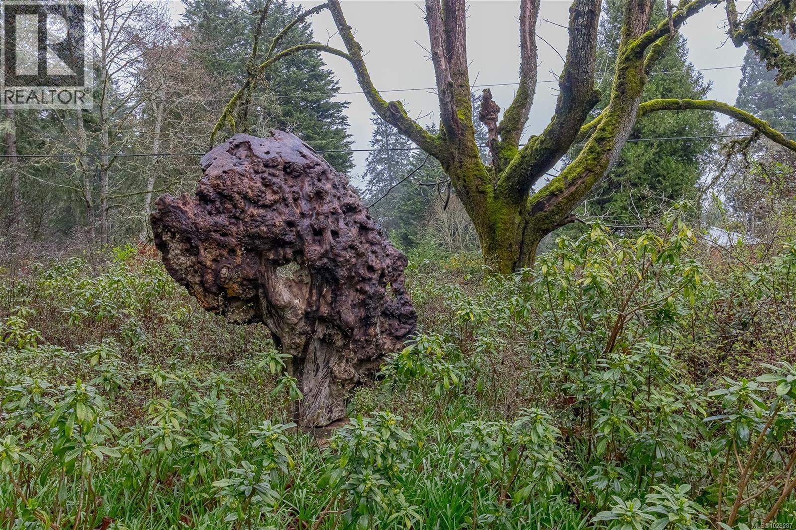 8050 Rae-Leigh Pl, Central Saanich, British Columbia  V8M 1S2 - Photo 34 - 1029287